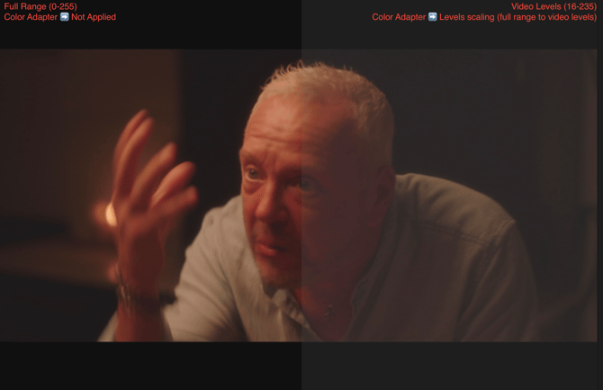 Avid Levels Scaling Comparison