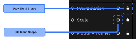 hide and lock blenshapes