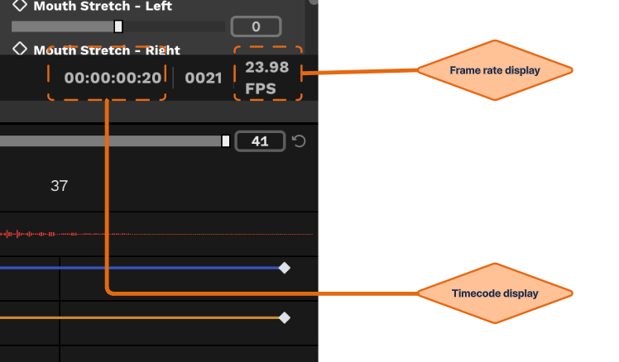 timeline and frame rate